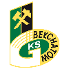 Skra Czestochowa